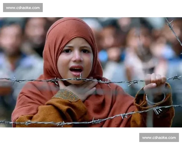 从被嘲 吹牛 到威尼斯封后：辛芷蕾的逐梦之路