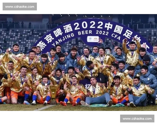 泰山亚冠退赛敲响警钟：足协与中足联需构建赛事保障体系